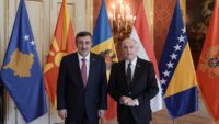 Cumhurbaşkanı Yardımcısı Yılmaz, Macaristan Cumhurbaşkanı Baka ile görüştü