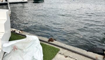 Fatih’te denizde erkek cesedi bulundu