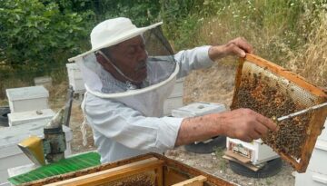Hobi olarak başladı. Emekli başgardiyan ürettiği balı 20 yıldır Avrupa’ya gönderiyor