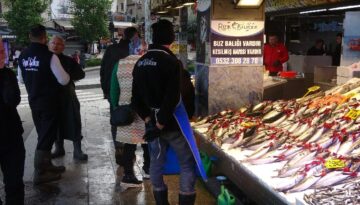Palamut büyüdü, yağlandı. Fiyatı da tezgahta arttı