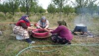 Yalnızca Kastamonu’da yetişiyor. Magnezyum, potasyum, demir deposuymuş