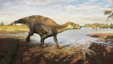 Yeni dinozor tipi keşfedildi
